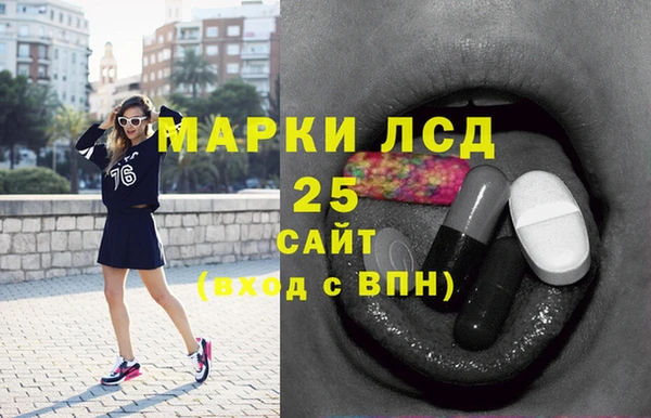 прущие грибы Беломорск
