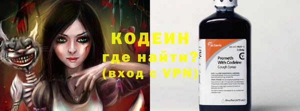 прущие грибы Беломорск