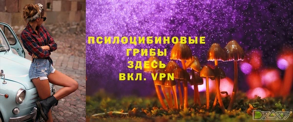 прущие грибы Беломорск