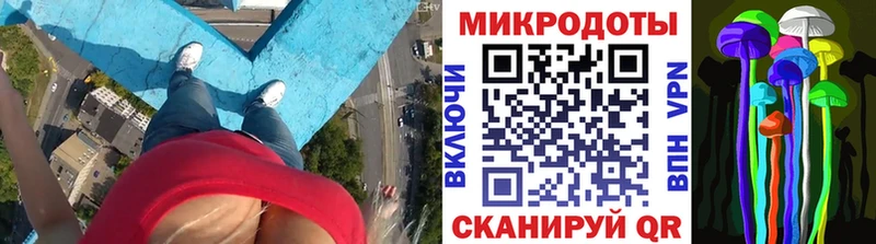 Псилоцибиновые грибы Psilocybe  Дудинка 